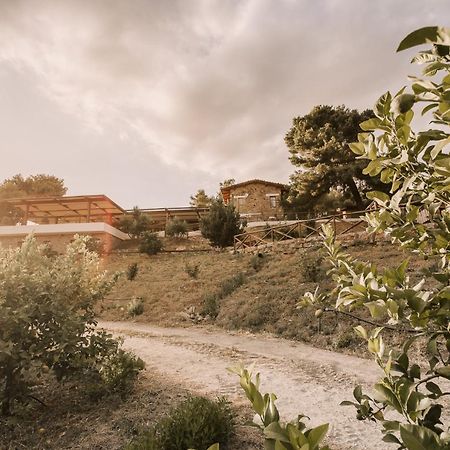 Casale 700 Bed & Breakfast Amendolara Dış mekan fotoğraf