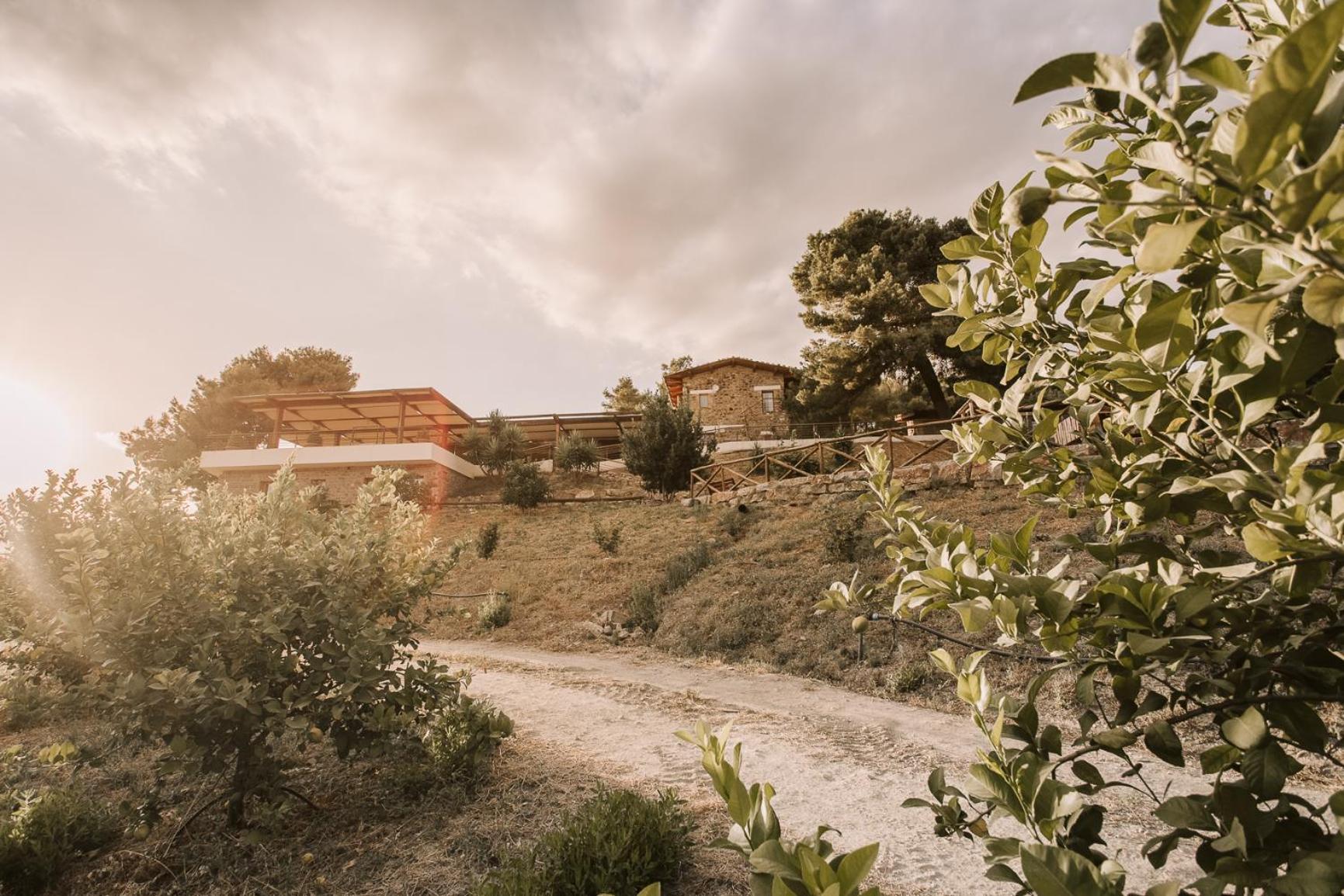 Casale 700 Bed & Breakfast Amendolara Dış mekan fotoğraf