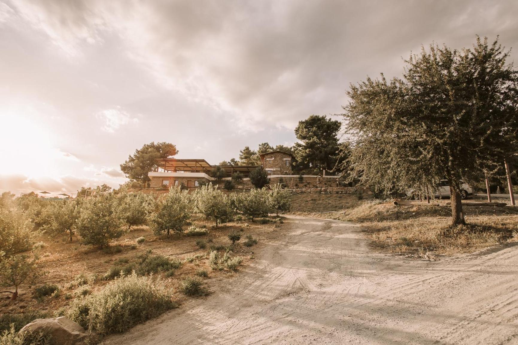 Casale 700 Bed & Breakfast Amendolara Dış mekan fotoğraf